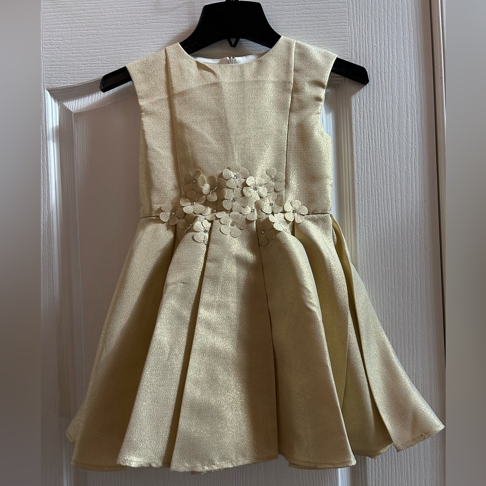 Beautiful girl's dress